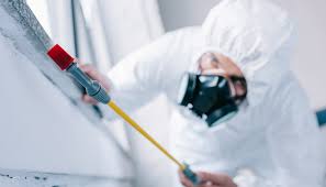 Best Pest Control for Multi-Family Homes  in Westwood, KS